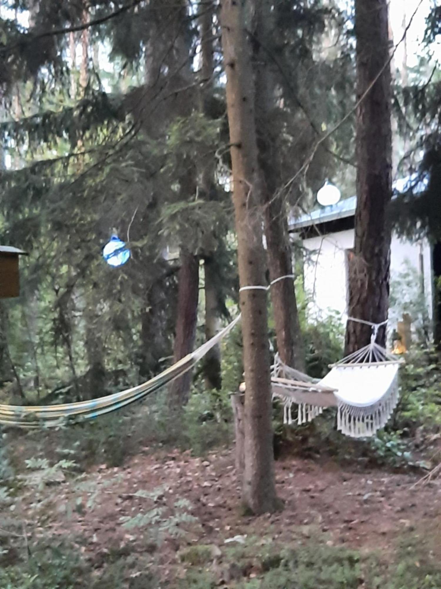 Bungalow Direkt Am See, Mit Eigenem Boot Roding Exterior photo